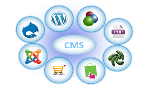 CMS Development